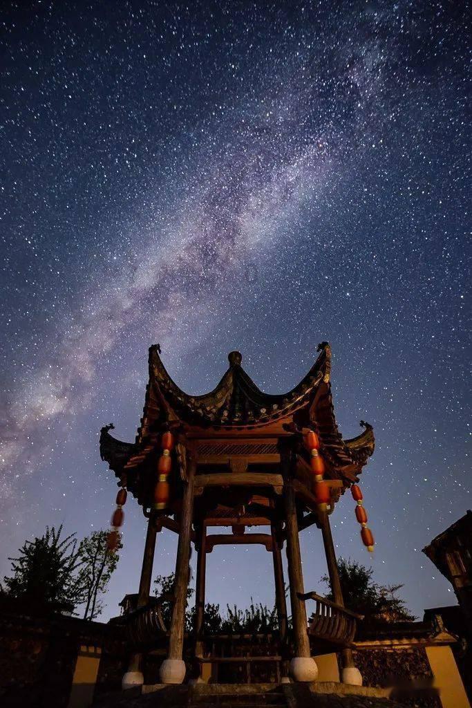 异形：隔离