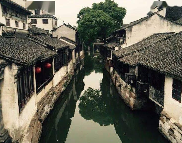 《幻兽帕鲁》服务器崩溃？开发团队：正全力以赴回应
