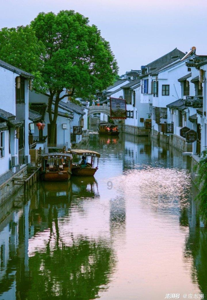逃离神秘之林
